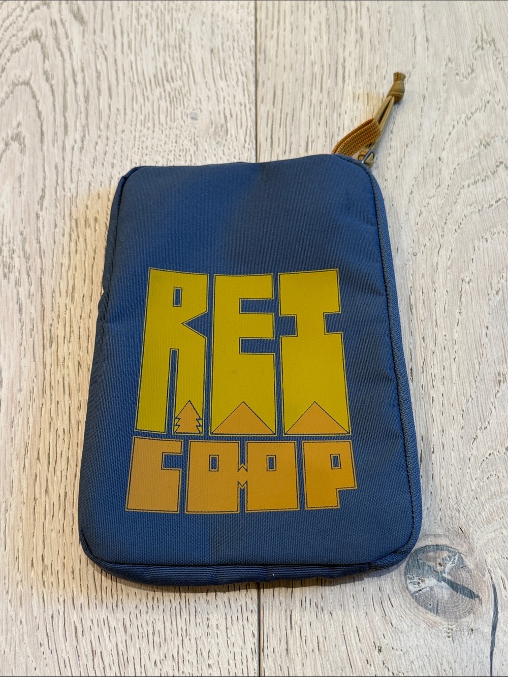 REI Co-Op Small Travel Gear/Tech Organizer